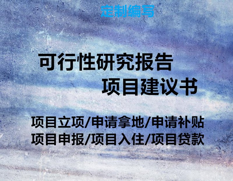 项目可行性研究